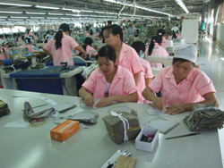 Công tyTNHH Seyoung INC 100% vốn Hàn Quốc đầu tư tại KCN Lương Sơn  giải quyết việclàm cho hàng trăm lao động địa phương